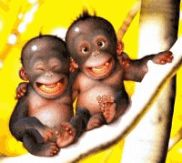mes petit frere